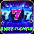 andy flower Turbo Pro v5.0.5