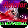 antigua hawksbill Plus Edition v2.5.8