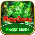 bass fish Plus v5.8.1
