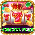 bet365 cricket Premium Gaming App