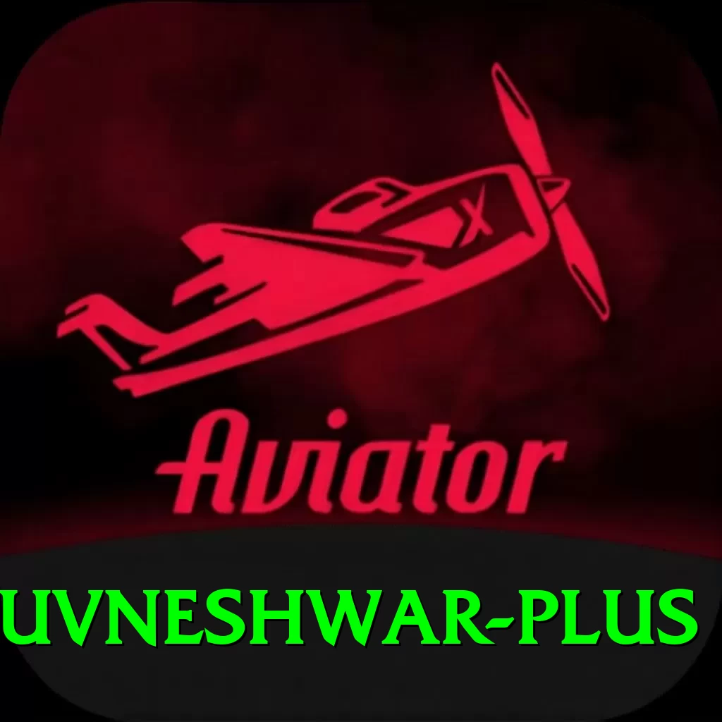 bhuvneshwar VIP Gaming App - 2