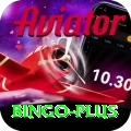 bingo Pro1 v5.7.6