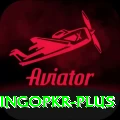 bingopkr Ultimate v2.4.2