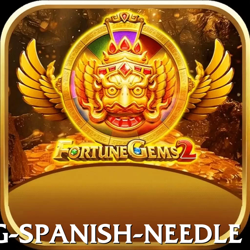 canyoning spanish needle Pro1 v5.3.5 - 2