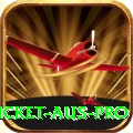 cricket aus Game Mega v1.1.4