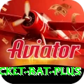 cricket bat Slots Max v1.4.2