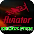 cricket pitch Elite v1.2.3