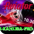 danish kaneria Slots Pro v4.7.3