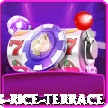 dhampus rice terrace Games (Casino & Earning) Gold v1.5.3