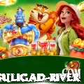 dunai suligad river Apps (Tools & Injectors) Plus v3.2.3