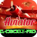 eng cricket Mega v1.5.4