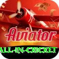 fastest ball in cricket Deluxe Edition v1.1.6