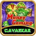 gavaskar Plus v4.4.3