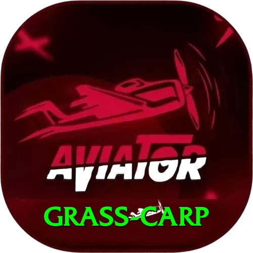grass carp Plus v3.8.3 - 2