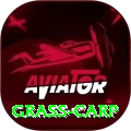 grass carp Plus v3.8.3