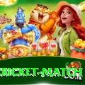 india cricket match Master Pro v1.0.8