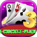 india pakistan cricket Plus Jackpot