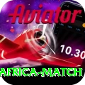 india south africa match Premium v1.9.6