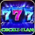 ireland cricket team Pro1 v5.1.3
