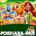 kathmandu pokhara bus Premium v1.8.3