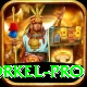 morne morkel Casino Turbo v4.1.9