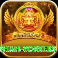 naseem shah yorkers Games (Casino & Earning) Pro v2.9.0