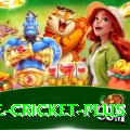 one cricket Mega New
