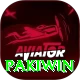 Pakiwin Pro v2.2.3
