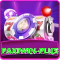 pakiwin Plus Edition v5.4.2