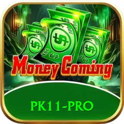 pk11 Gaming Pro v4.3.3 - 2