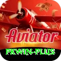 pkwin Gold v2.2.3