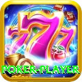 poker player VIP Pro v4.9.3