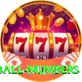 powerball numbers Max Pro v5.6.9