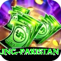 responsible gambling pakistan Plus Edition v5.4.2