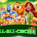 risk free bet cricket Deluxe Edition v4.6.1