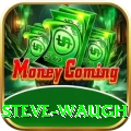 steve waugh Gold v3.7.1