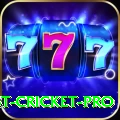 test cricket Casino Official v3.9.2