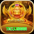 tiger888 Gold v5.8.9
