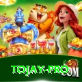 tojay Prime v1.6.0