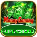 watch live cricket Pro1 v3.6.9