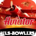 wicket hauls bowlers Plus v1.6.4