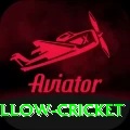 willow cricket Apps (Tools & Injectors) Gold v5.2.6