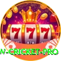 willow cricket Bonus Prime v5.6.2