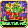 world t20 Casino Official v2.0.5